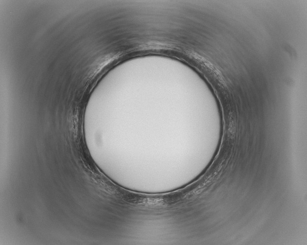 X0000115431313200912020916