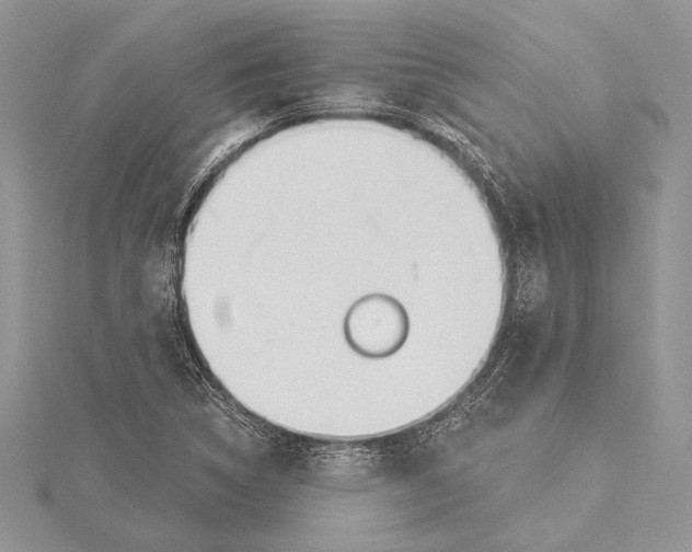 X0000115431314200912020916