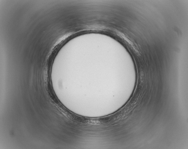 X0000115431315200912020916