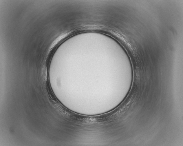 X0000115431317200912020916