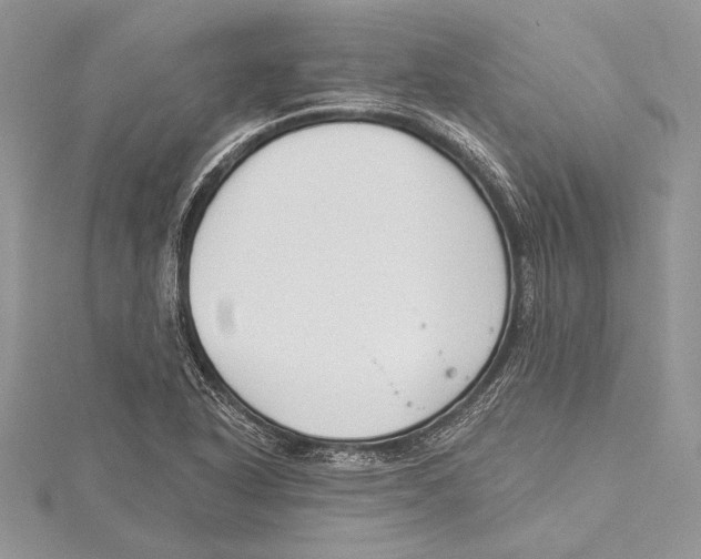 X0000115431318200912020916