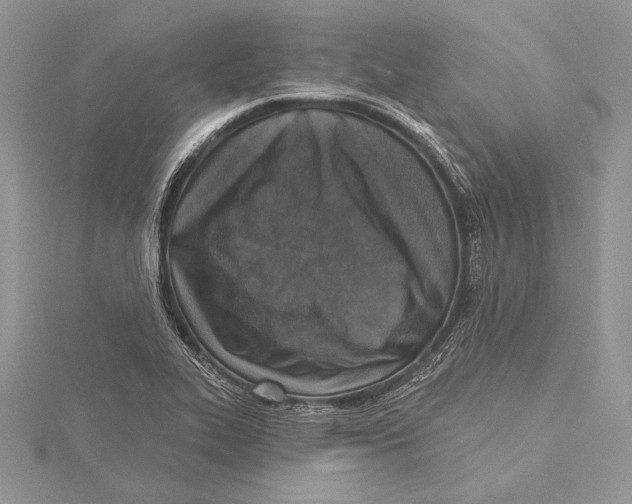 X0000115431319200912020916