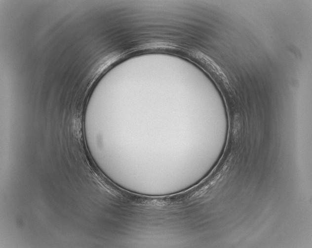 X0000115431321200912020916