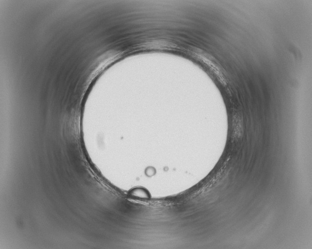 X0000115431322200912020916