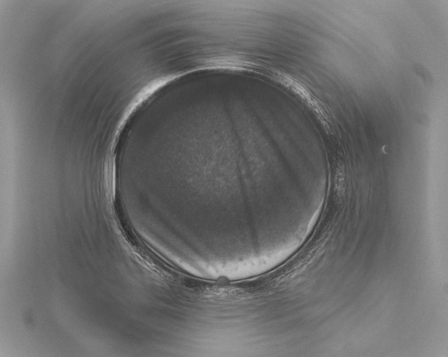 X0000115431323200912020916