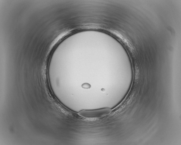 X0000115431325200912020916