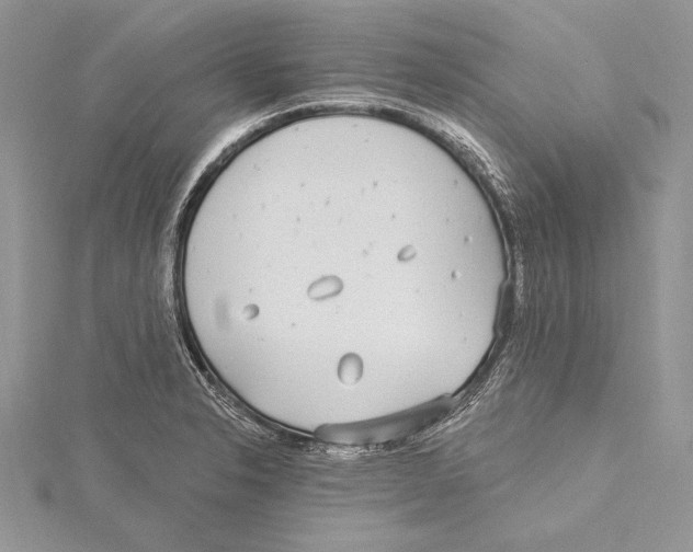 X0000115431326200912020916