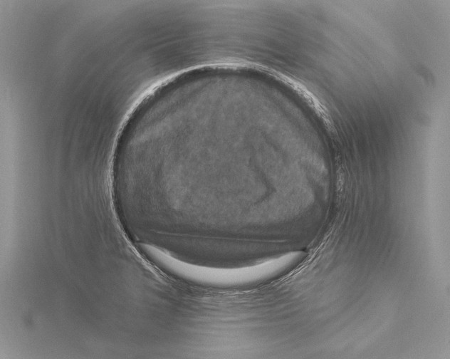 X0000115431327200912020916