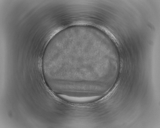 X0000115431329200912020916