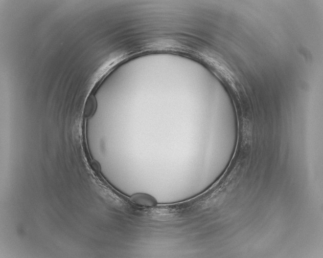 X0000115431330200912020916