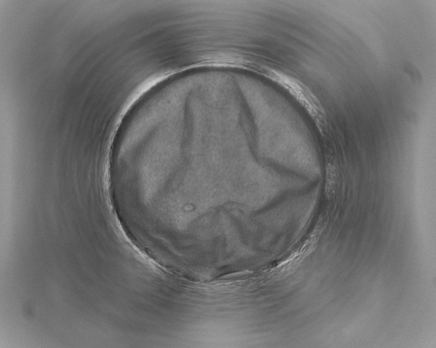 X0000115431331200912020916