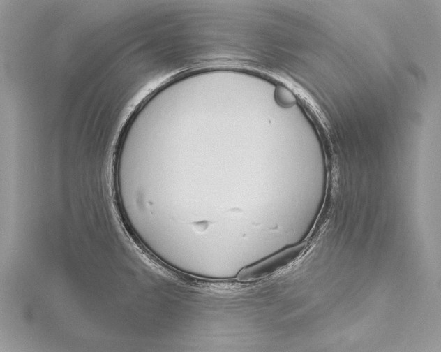 X0000115431333200912020916