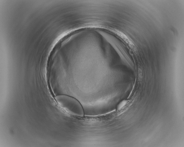 X0000115431334200912020916