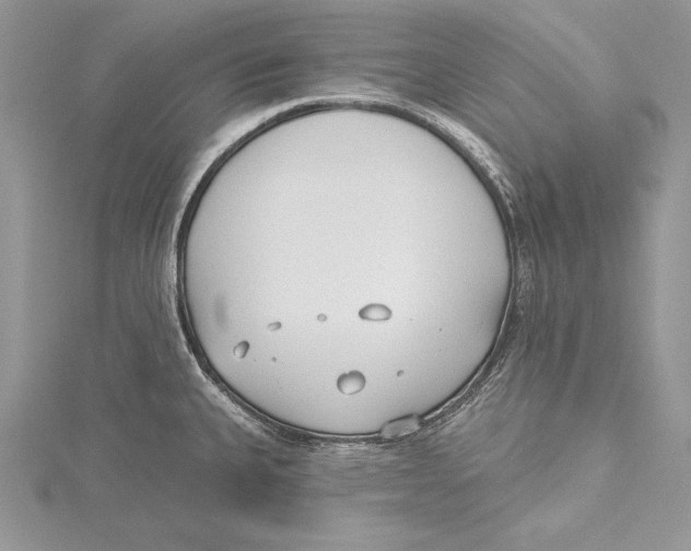 X0000115431335200912020916