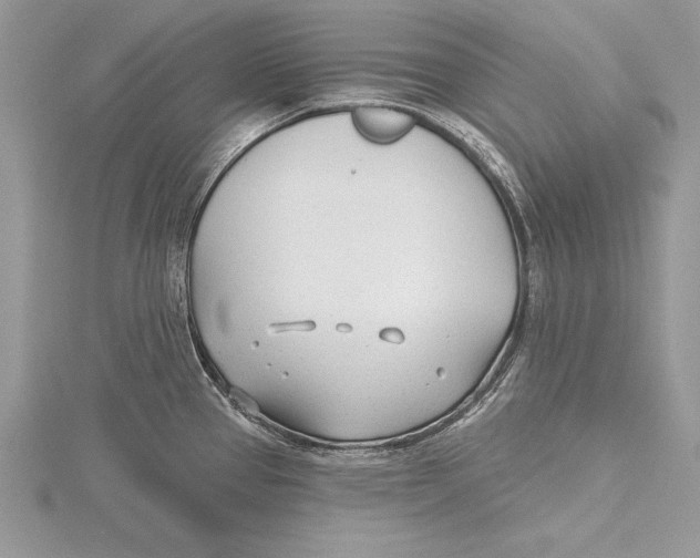 X0000115431337200912020916