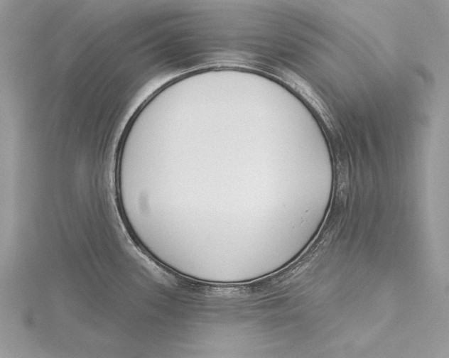 X0000115431339200912020916