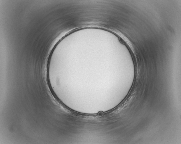 X0000115431341200912020916