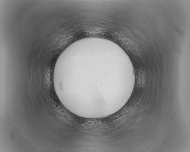 X0000115431346200912020916