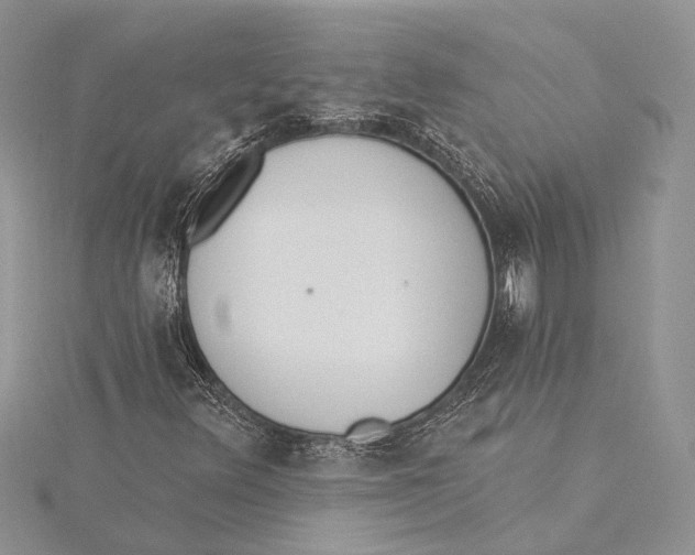 X0000115431348200912020916