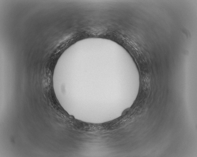 X0000115431349200912020916