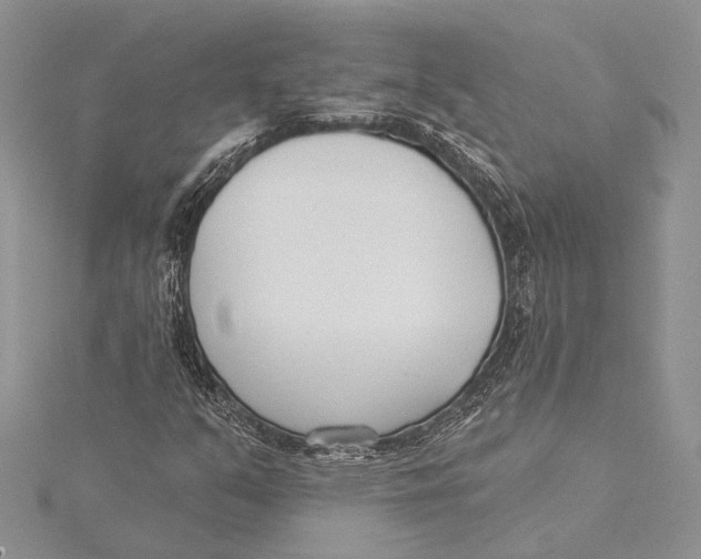 X0000115431351200912020916