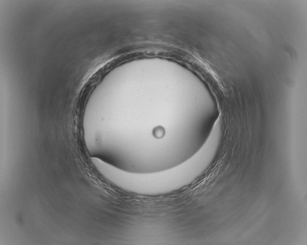 X0000115431352200912020916