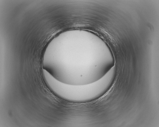 X0000115431353200912020916