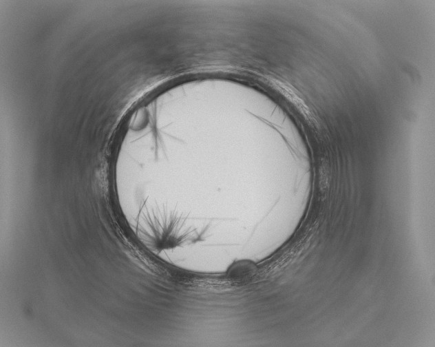 X0000115431356200912020916