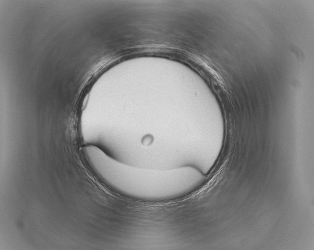 X0000115431357200912020915