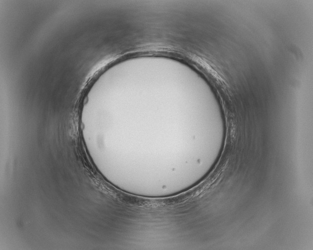 X0000115431358200912020915