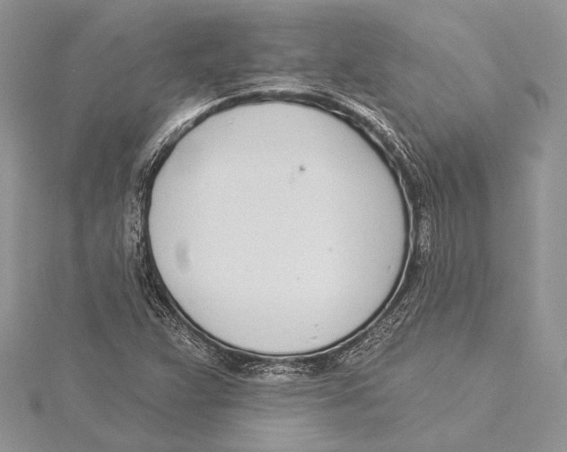 X0000115431359200912020915