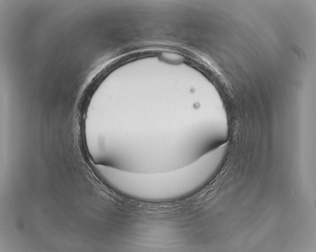 X0000115431360200912020915