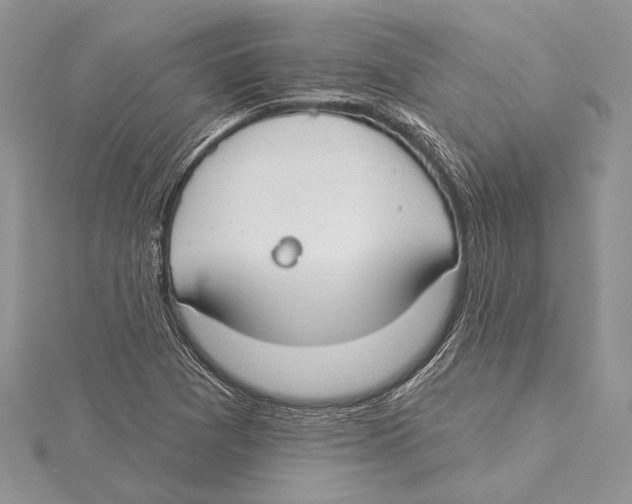 X0000115431361200912020915