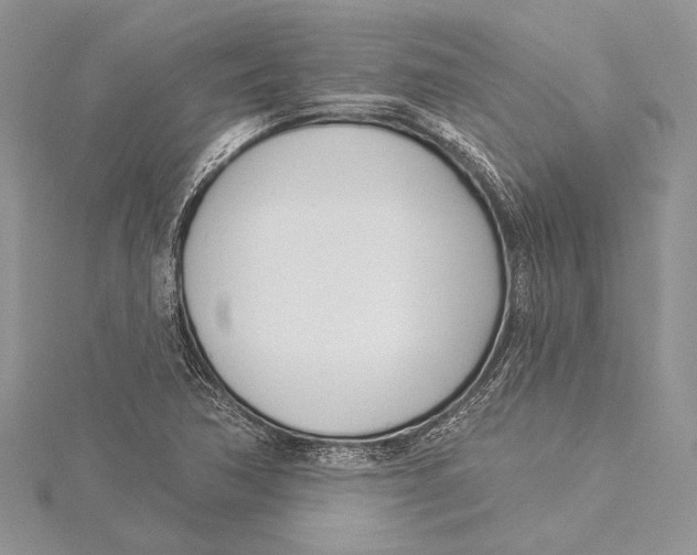 X0000115431362200912020915