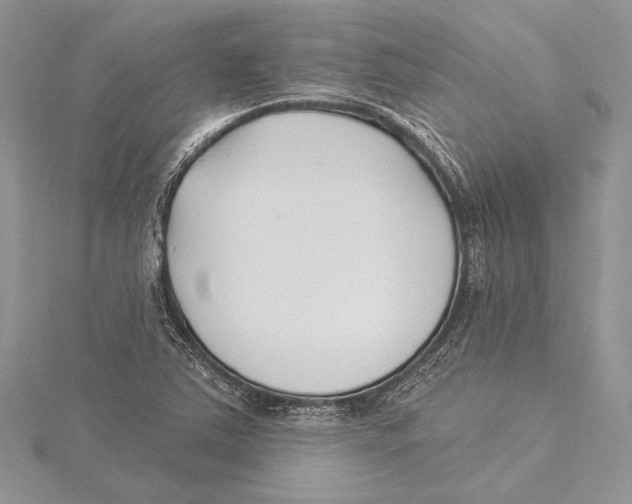 X0000115431363200912020915