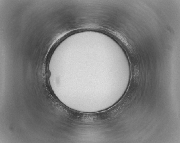 X0000115431364200912020915