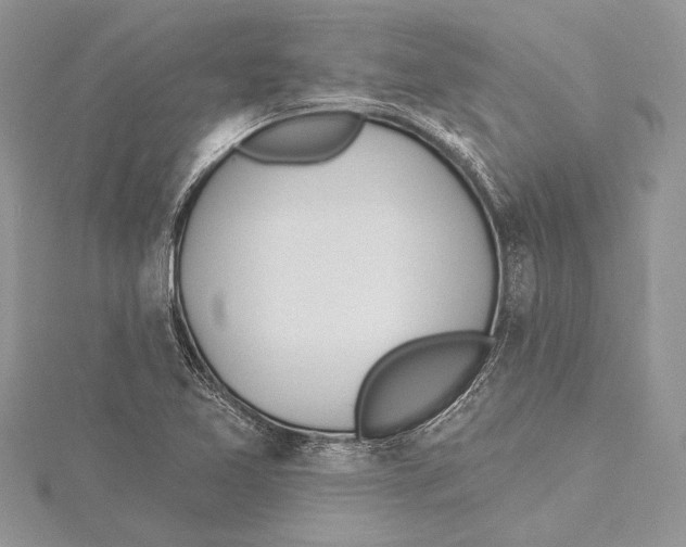 X0000115431365200912020915