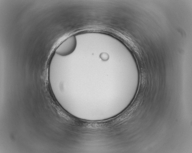 X0000115431366200912020915