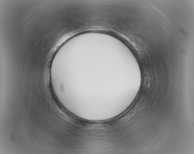 X0000115431367200912020915