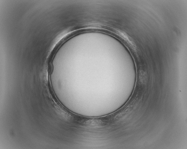 X0000115431368200912020915