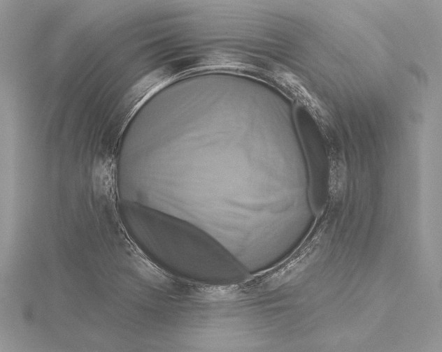 X0000115431369200912020915