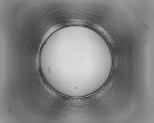 X0000115431370200912020915