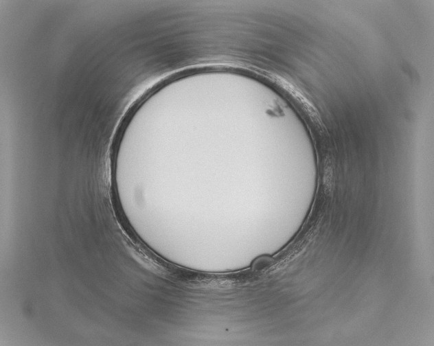 X0000115431372200912020915