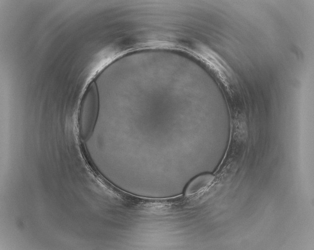 X0000115431373200912020915