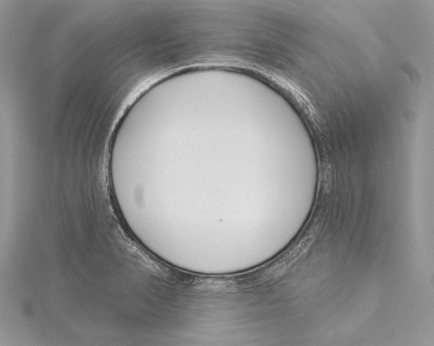 X0000115431374200912020915