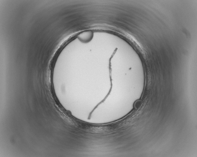 X0000115431376200912020915