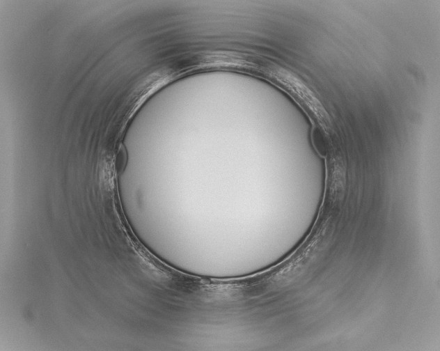 X0000115431377200912020915