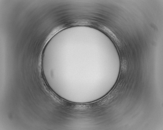 X0000115431378200912020915