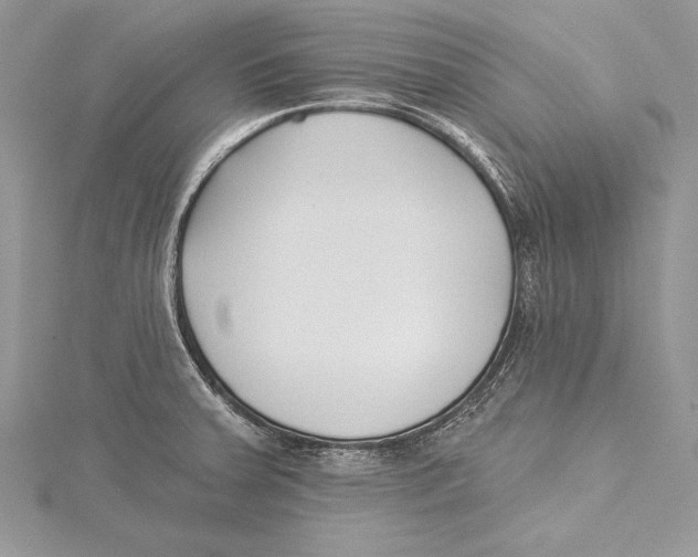 X0000115431379200912020915