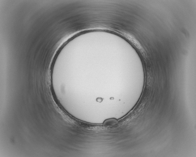 X0000115431380200912020915